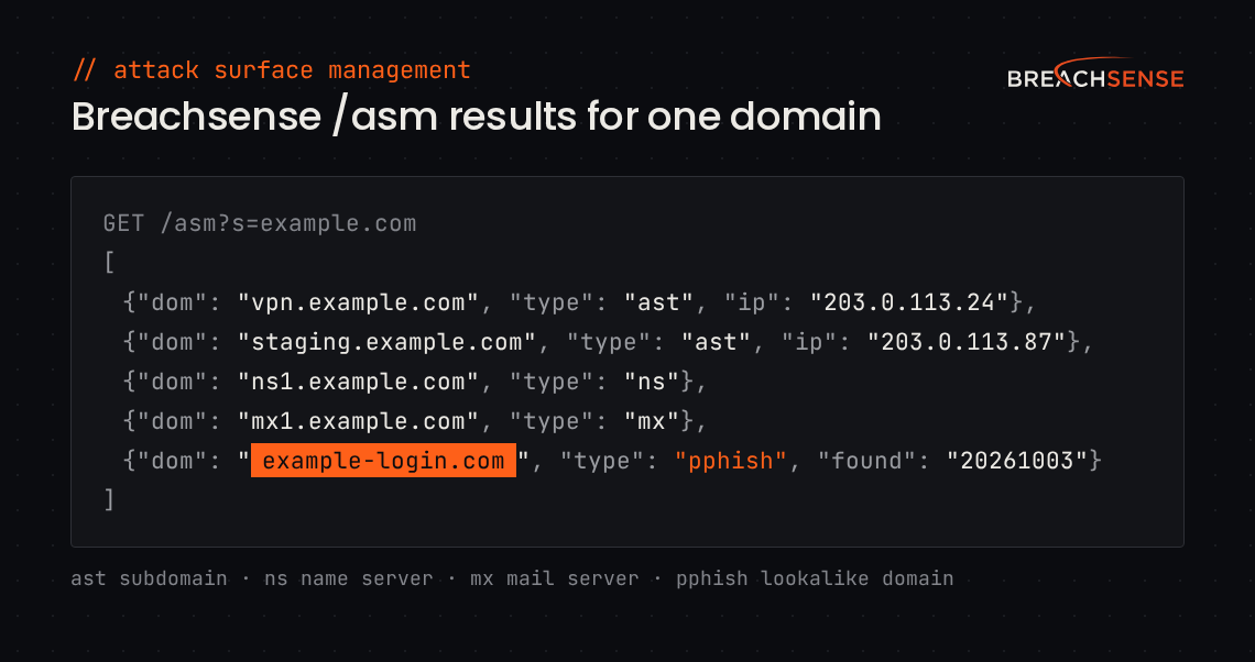 Example Breachsense /asm API response for one domain, with redacted values. It lists two subdomains of example.com with their IP addresses, a name server, a mail server, and the lookalike domain example-login.com with the date it was found.
