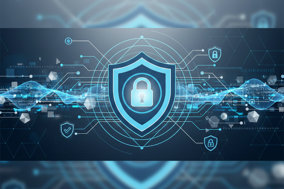 A Guide to Data Risk Management